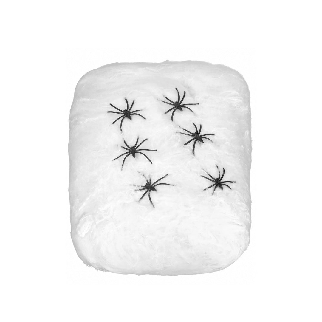 Toile d'araignée blanche et ses 6 araignées